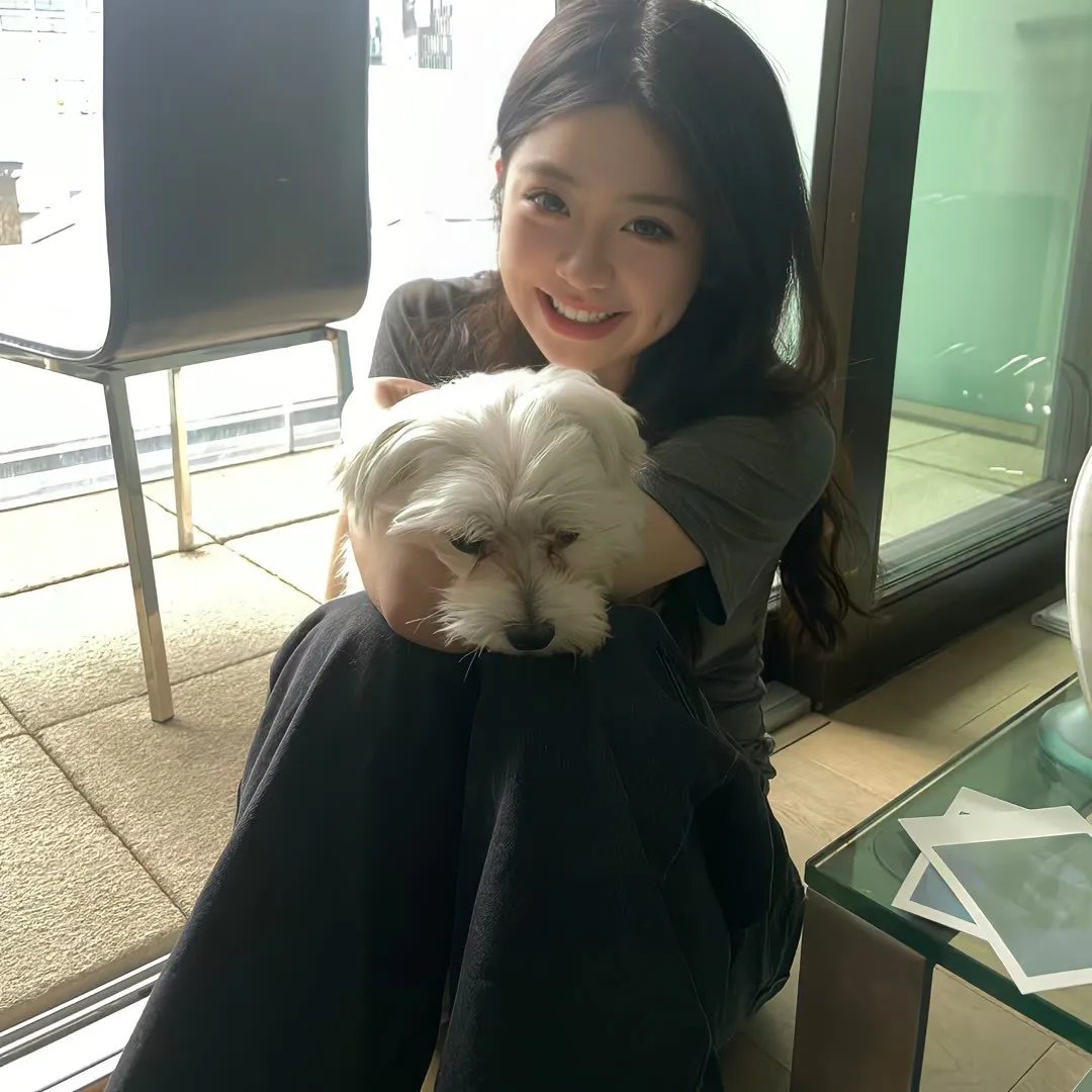 我的叔叔 海报